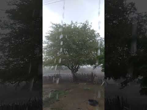 primeira chuva do inverno de 2024 na cidade de Palhano com juninho@123