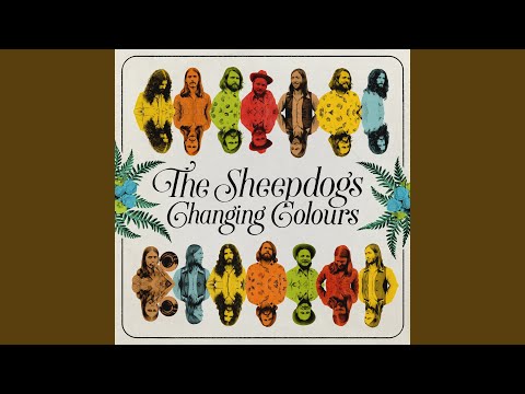 Im Just Waiting For My Time - The Sheepdogs