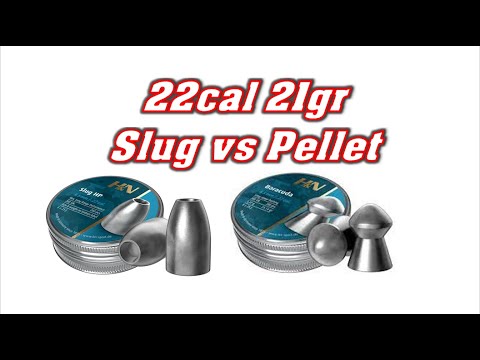 Airgun Pellet vs Slug...21gr H&N