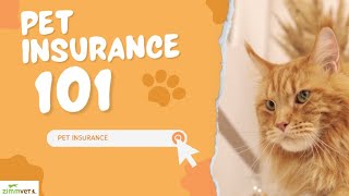Pet Insurance 101 - Presented by ZimmVet