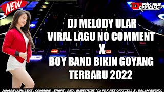Download lagu DJ PAK RIS MELODY ULAR VIRAL LAGU NO COMENT X BOY BAND BIKIN GOYANG TERBARU 2022 mp3
