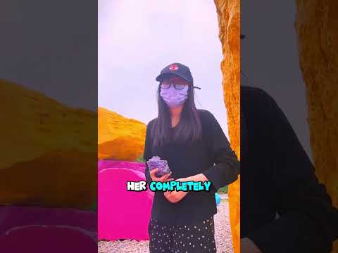 Milo the Treasure Hunter! 🐱💎