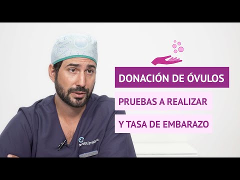 Donación de óvulos: requisitos, procedimiento y compensación