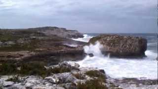 preview picture of video 'black point blowhole'