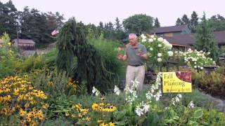 Landscape design - How to design a landscape for four seasons of beauty