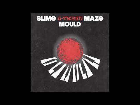 PREMIERE: A-Tweed - Slime Mould Maze [Feines Tier]