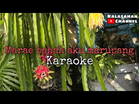 Marae Bahah Aku Marupang | KARAOKE
