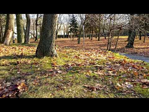 CAT S52 - Full HD 30 fps (Krátke testovacie video)