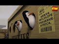 Madagascar Ship To Kenya Castilian Spanish
