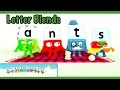 Alphablocks Word Magic ANTS Green Level