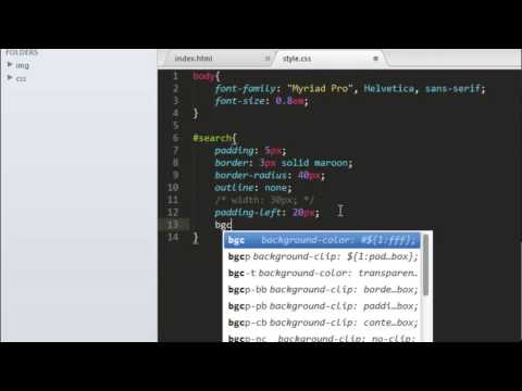 CHAMP DE RECHERCHE PERSONNALISE