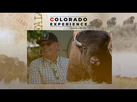 Colorado Experience | Return of the Buffalo, Part 1