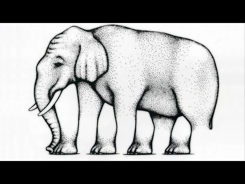 this is not an elephant Video