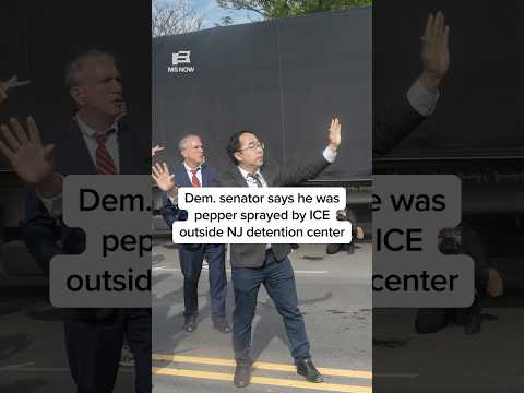 Dem senator says he was pepper sprayed by ICE outside NJ detention center
