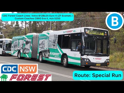 CDC Forest Coach Lines: Volvo B12BLEA Euro 4 (ZF Ecomat) / Custom Coaches CB60 Evo II, m/o 5250