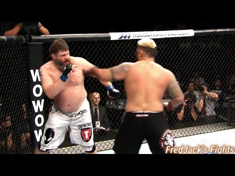 Mark Hunt vs Roy Nelson Highlights (KNOCKOUT of The Year) 