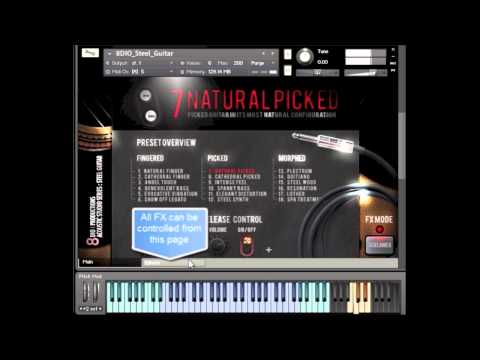 8Dio Steel String Guitar