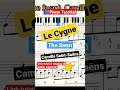 Le Cygne(The Swan), Piano Class ‎@BMCTHEBEST #camille #saint #theswan #pianotutorial #videotutorial