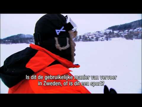 zo:RAYMANN 2012 - Groeten uit Zweden / Husky's