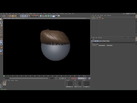 Cinema 4D Tutorial Creating Hair