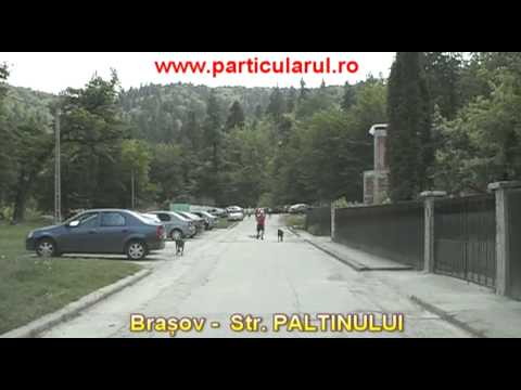 Imobiliare Brasov - str Paltinului- Noua