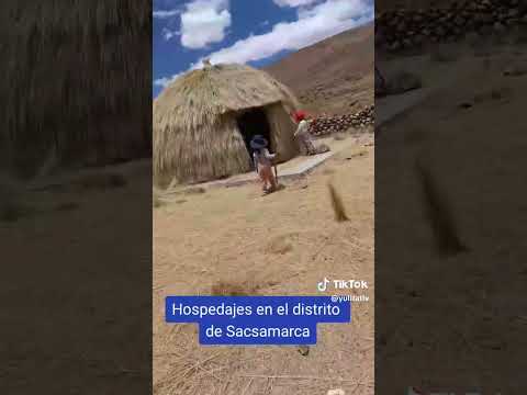 Hospedaje en Saccsamarca.        Huancasancos Ayacucho 🇵🇪