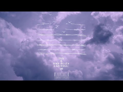 Tijă & DMD Beats feat. Shushi Shu - Gânduri bune