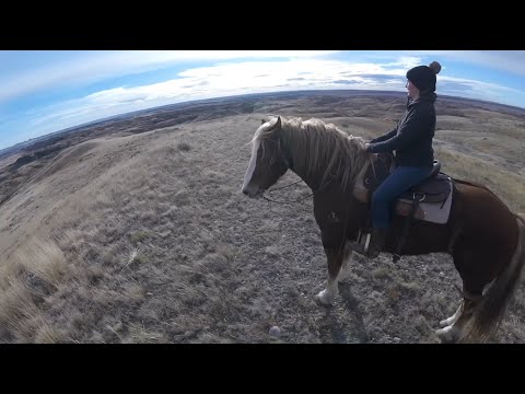 Our Last Ride Of 2020 - Trail Riding The Big Country With A Draft Horse