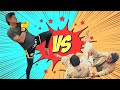 Muay Thai and Jiu Jitsu | Should I Train Muay Thai or Brazilian Jiu-Jitsu?