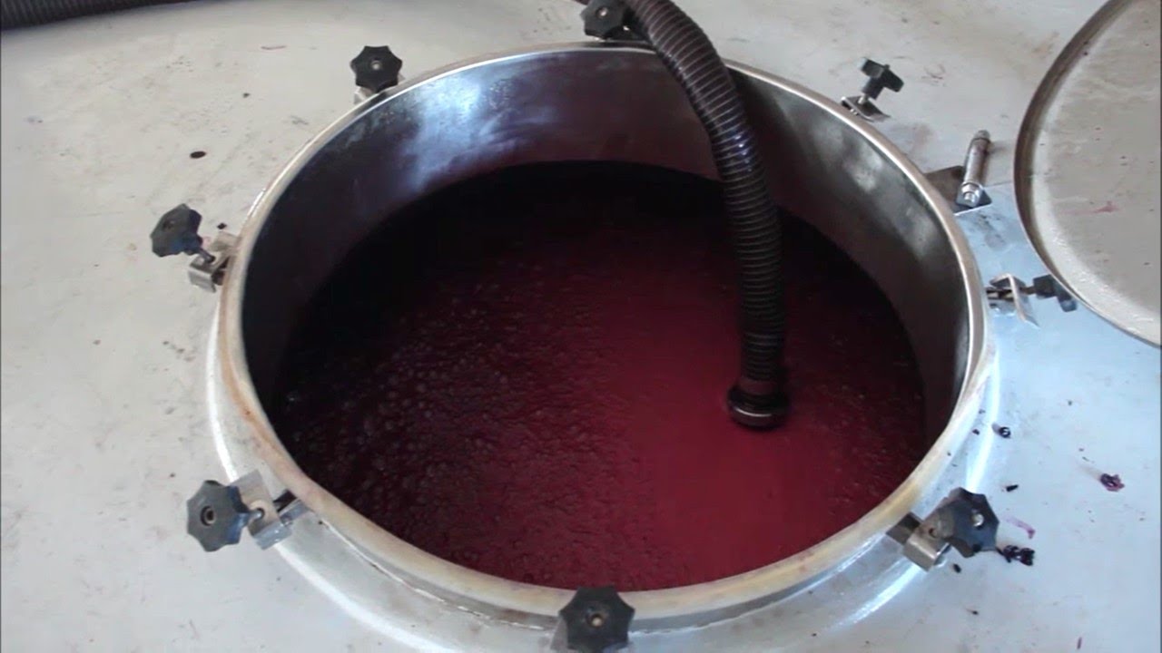 About wine fermentation