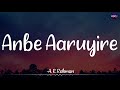 𝗔𝗻𝗯𝗲 𝗔𝗮𝗿𝘂𝘆𝗶𝗿𝗲 (Lyrics) - @ARRahman | SJ Suryah | Aararai Kodi /\ #AnbeAaruyire #Aara