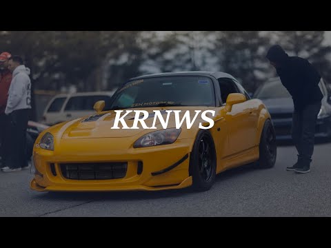 BLESSED MANE X CAT IN DA GLASSES - NIGHT LIGHT