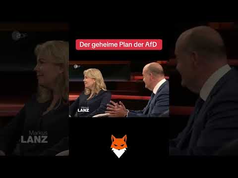 Der geheime Plan der AfD  #afd #bundestag #politik #nachrichten #cdu