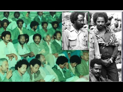 ቊጽሪ 68: ኣብ ማእከል ጽዕጹዕ ውግእ ካብ ሓላፍነቱ ወሪዱ::