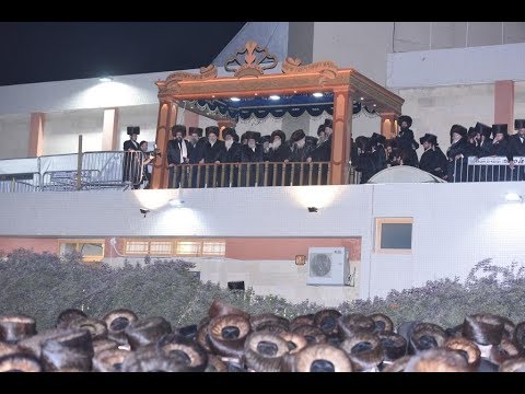 שמחת בית צאנז - החופה | Sanz Wedding - Chupah