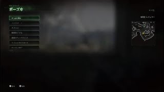 一生ボッチの従軍記　6戦目　Cod 4