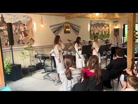 KUD Soko Minhen - Vokalno instrumentalni Vidovdanski koncert Traunrojt