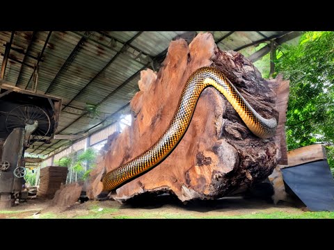 The Largest Sawmill in Sydney: Watch Monster Machines Handle Gigantic Logs