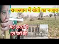 राजस्थान में खेतों का नजारा Soniya Rajasthani Vlogs Ga