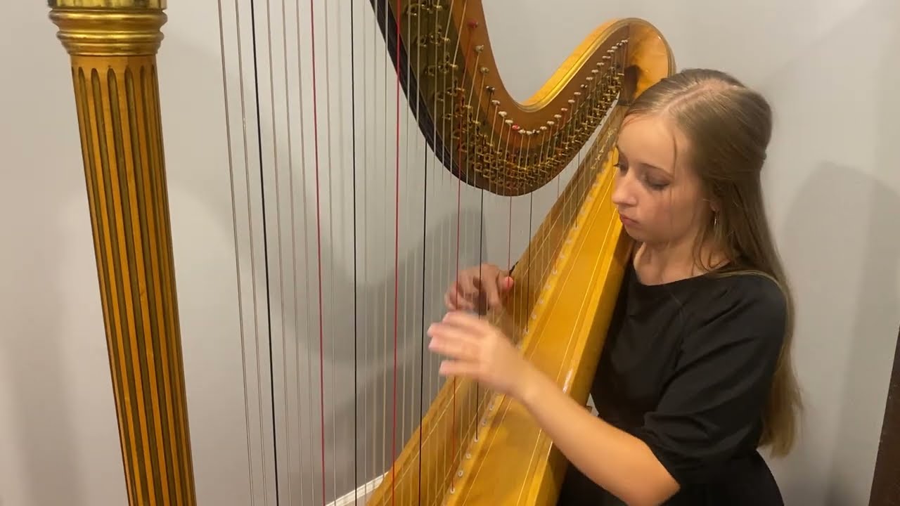 Promotional video thumbnail 4 for Sacred Strings