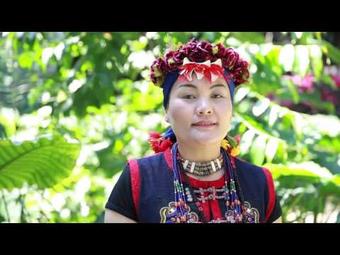 歌謠篇 - 中排灣語 04paljuljuljuljuiyanga 知了之歌《傳唱篇》