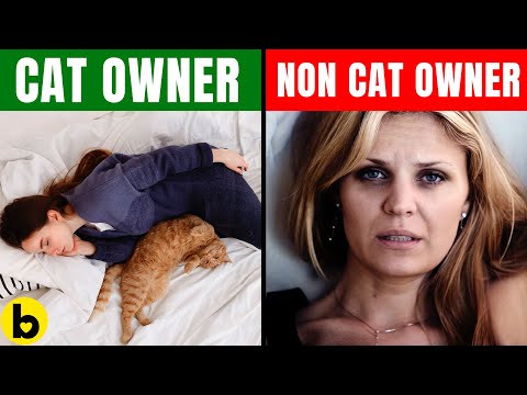10 Scientific Benefits of Owning a Cat You Need To Know