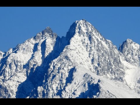 Lomničák   moja srdcovka