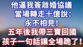 完結版！他逼我簽離婚協議，當場轉走十億說：永不相見！我抱著孕肚離開。五年後我帶三寶回國，孩子一句話讓全場跪了！#情感故事 #為人處世 #老年生活 #米思故事 #深夜读书 #養老 #幸福人生 #晚年幸福