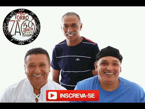 Viciado - Trio Forrozao