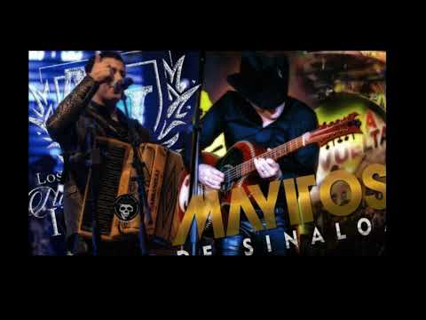 Los Nuevos Ilegales Ft Banda Renovación Ft Los Mayitos De Sinaloa - La Rica (En Vivo 2018)
