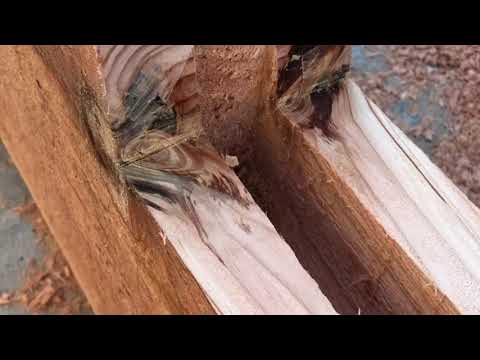 download lagu mp3 mp4 Charpente Bois Traditionnelle, download lagu Charpente Bois Traditionnelle gratis, unduh video klip Charpente Bois Traditionnelle