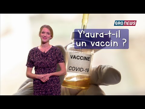 Questions téléspectateurs - Groland - CANAL+