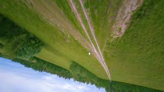 FPV Drone Freestyle - Open field chillin'