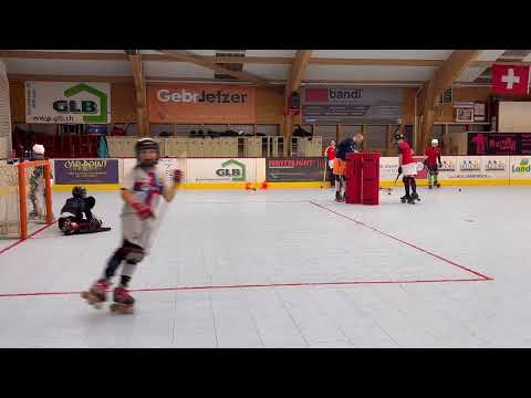 Hoquei patins - Rollhockey (Liron & Sophia)